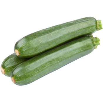 Spanien - EDEKA Bio - Zucchini
