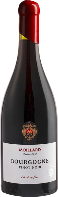 Frankreich: Moillard Bourgogne Pinot Noir AOP 