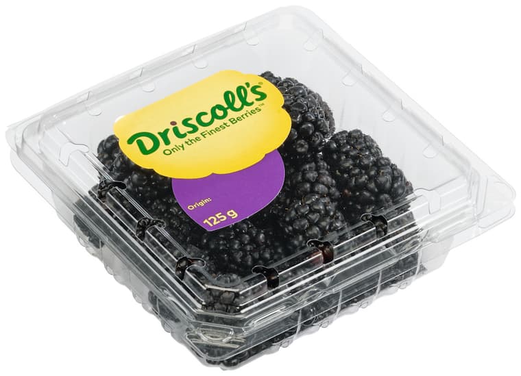 Driscoll's Brombeeren