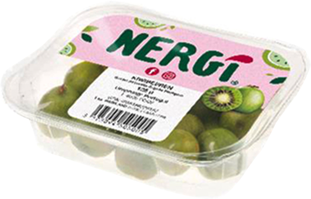 Nergi Mini Kiwis