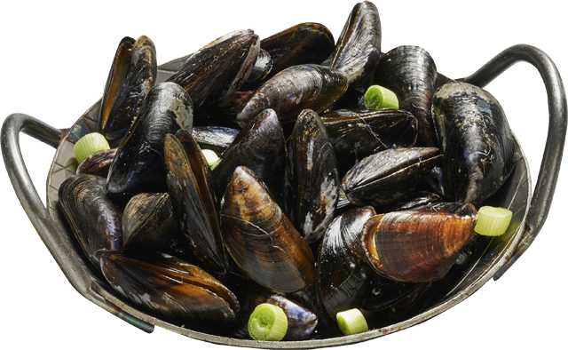 Ab Donnerstag erhältlich: ²Original Sylter Bio Muscheln 