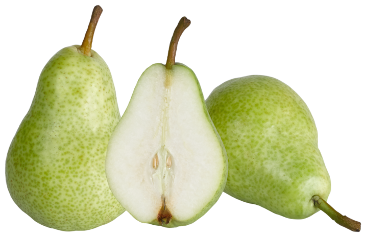 Unsere Heimat Tafelbirnen Bürgermeister