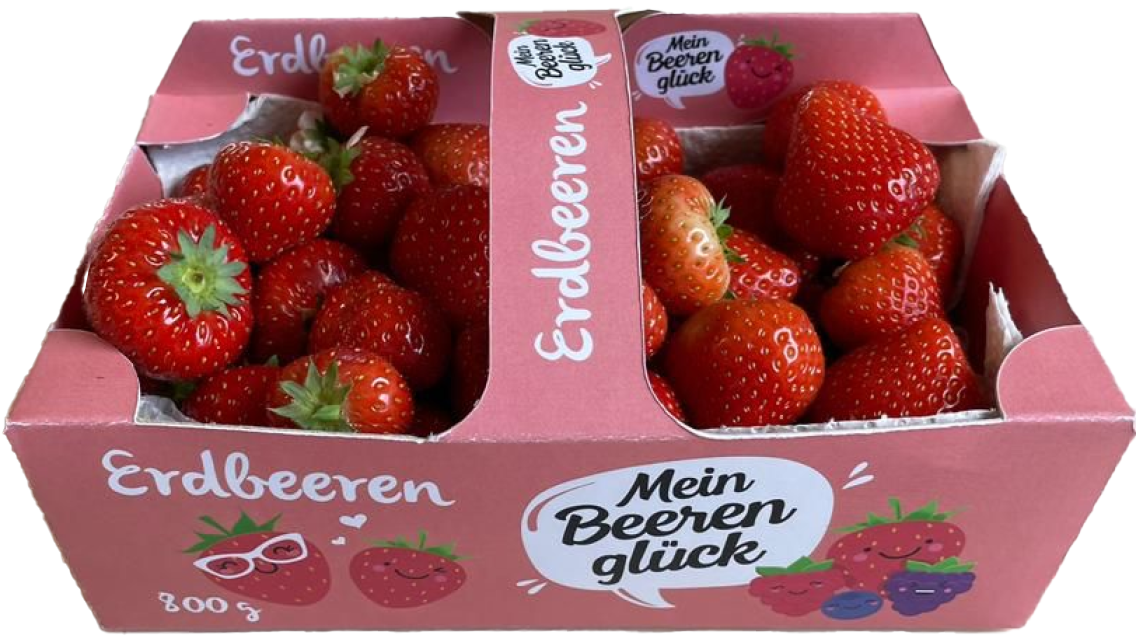 Erdbeeren aus den Niederlanden