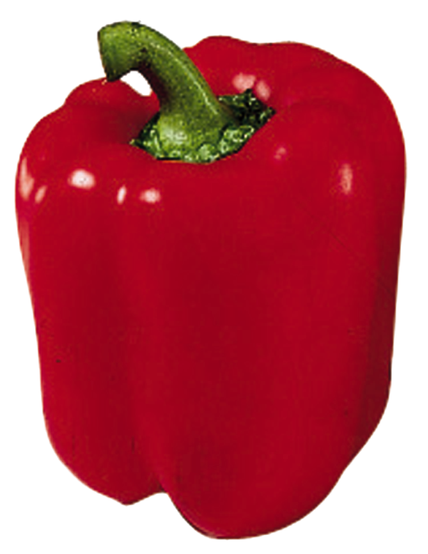 Paprika