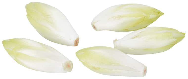 EDEKA Heimatliebe Fränkischer Chicoree