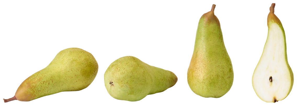 Tafelbirnen Abate Fetel
