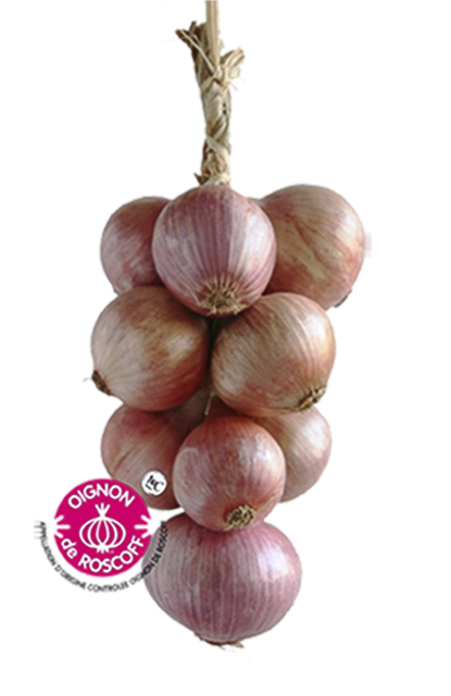 Roscoff Zwiebeln