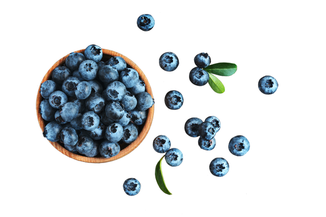 SanLucar Heidelbeeren 