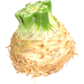 Deutschland - meinLand - Knollensellerie