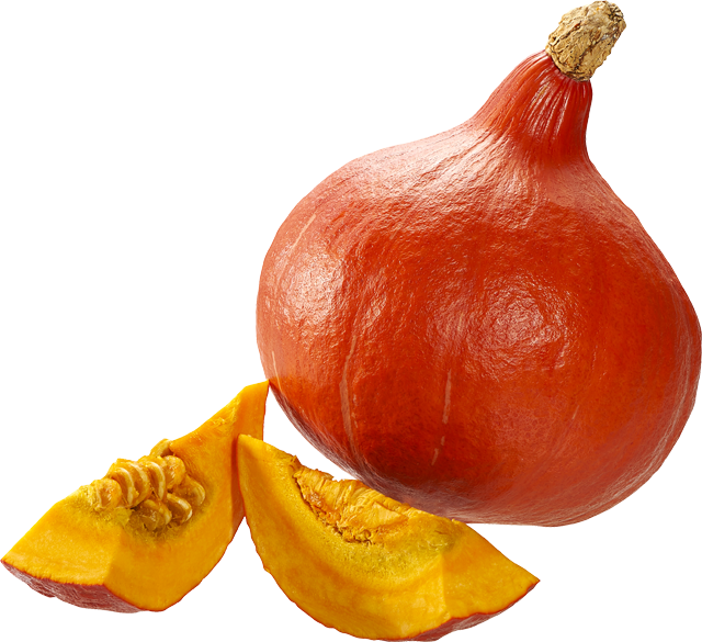 Hokkaido Kürbis
