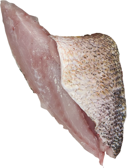 ¹Red Snapper Filets