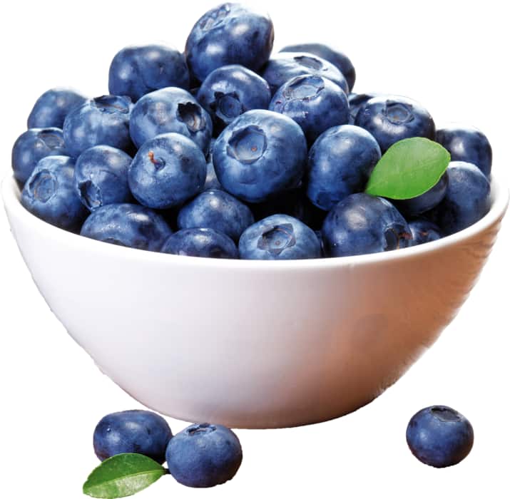 SanLucar Heidelbeeren