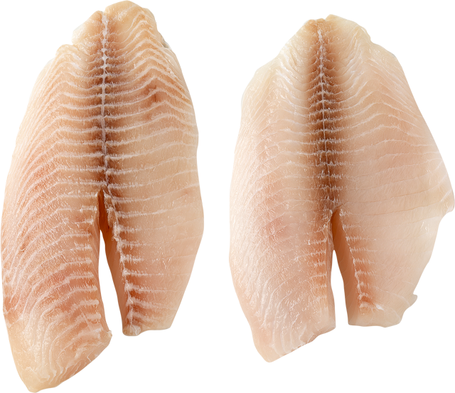 Tilapiafilets 