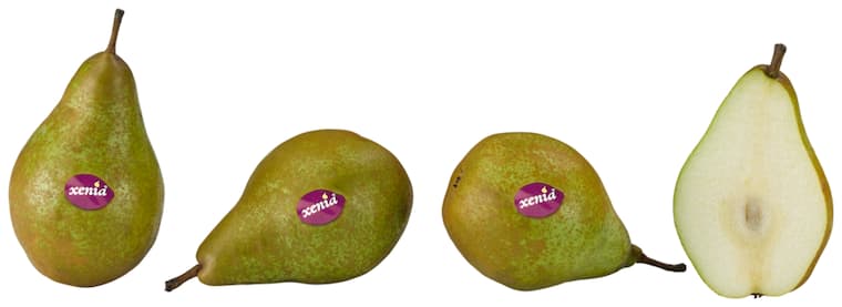Bio-Tafelbirnen „Xenia“