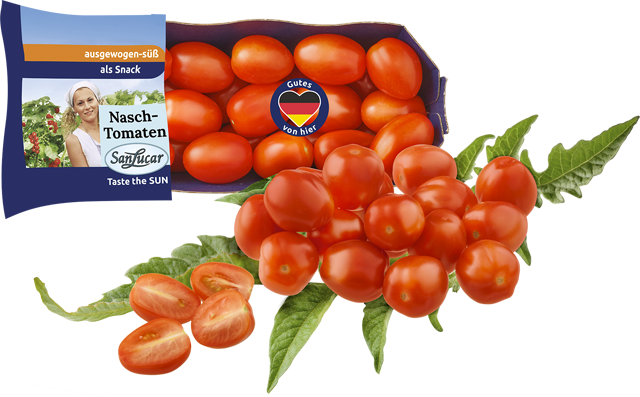 SanLucar Mini Roma Tomaten „Nasch“ 