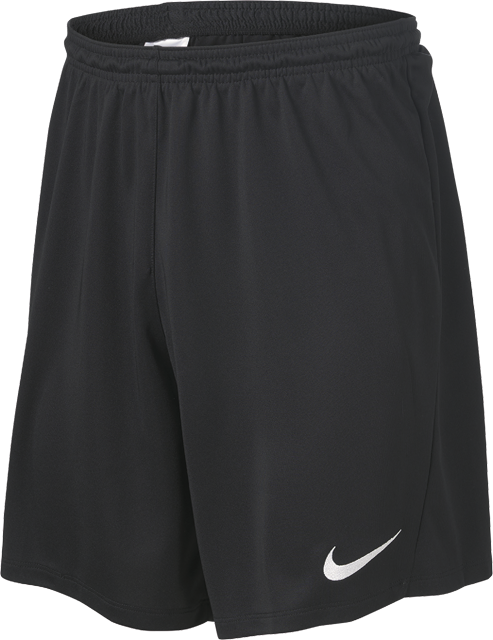 NIKE Herren Trainingsshorts