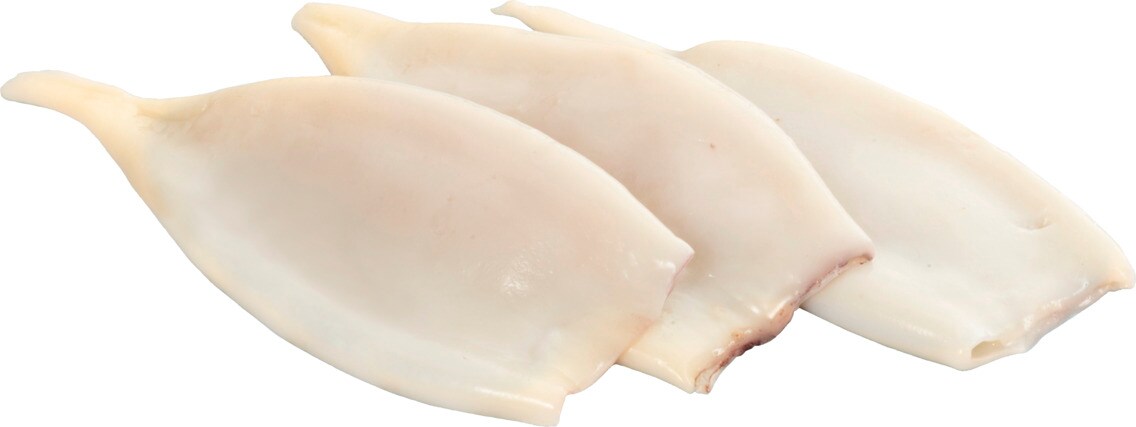 Tintenfischtuben