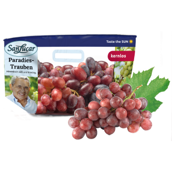 Südafrika - Tafeltrauben