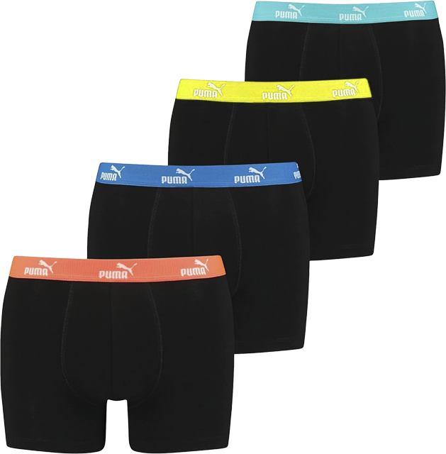PUMA Herren Retroshorts