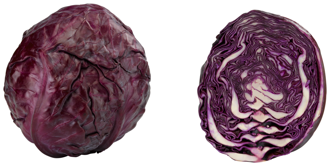 Unsere Heimat Rotkohl oder Weißkohl