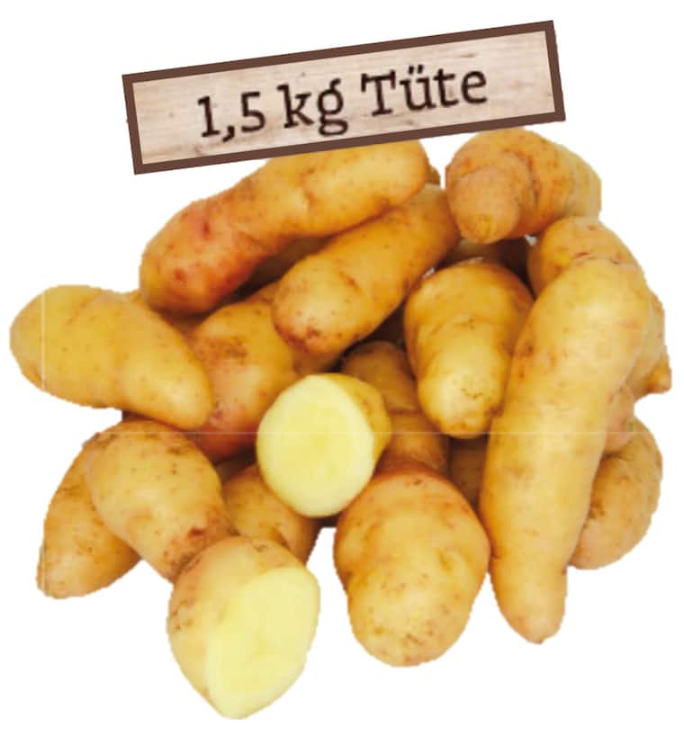 Fränkische Speisekartoffeln "Bamberger Hörnla"