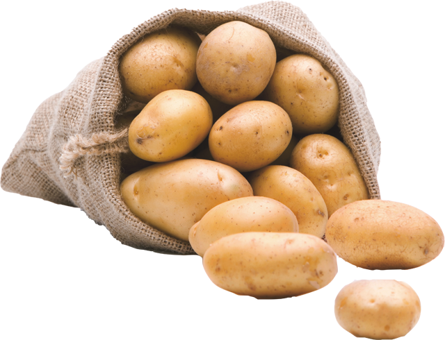 Gut & Günstig Kartoffeln