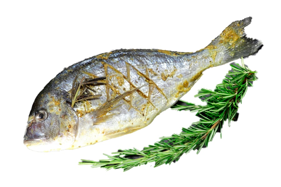 Dorade „Rosmarin-Salbei"