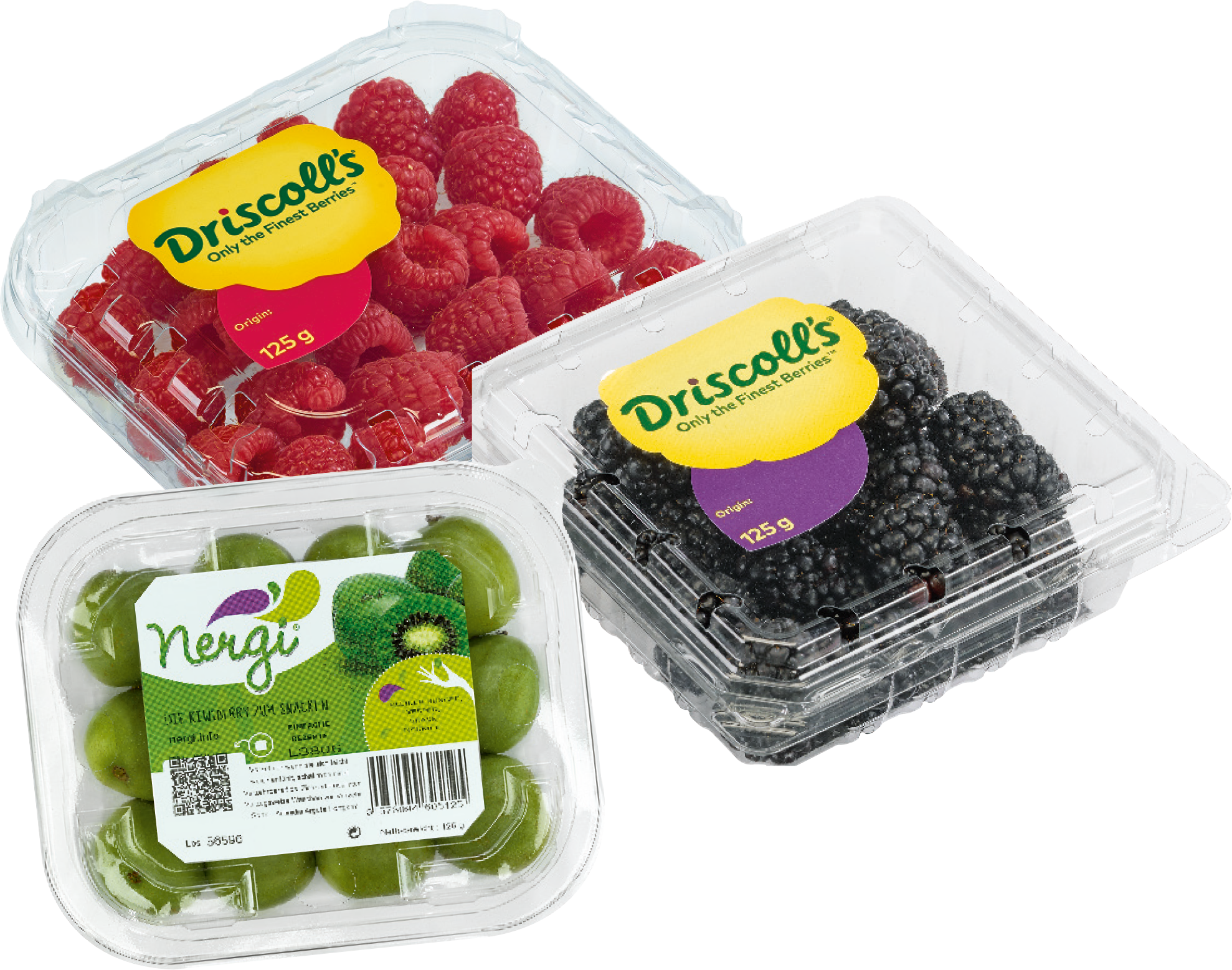 Portugal Driscoll's Himbeeren, Brombeeren oder Mini-Kiwis
