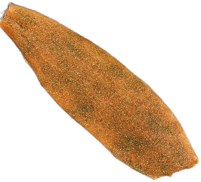 Scheck’s Hauslachs