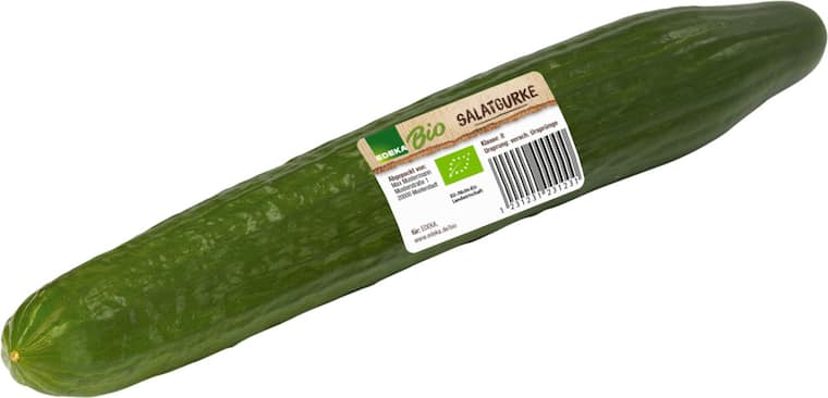 EDEKA Bio Salatgurken unfoliert
