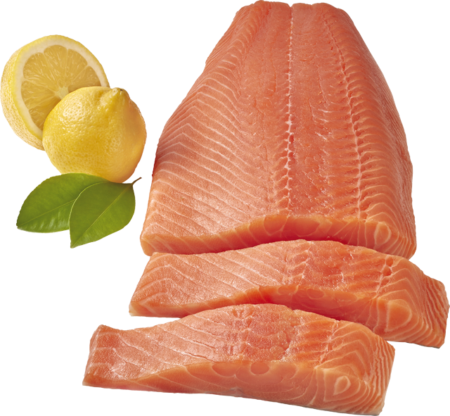 ²Bio Lachsfilets