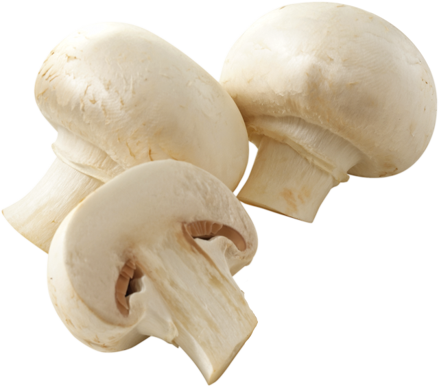 Gut & Günstig Champignons weiß