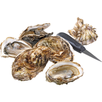 Austern "Fines de Clair"