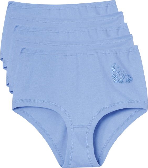 JFY Damen Taillenslips