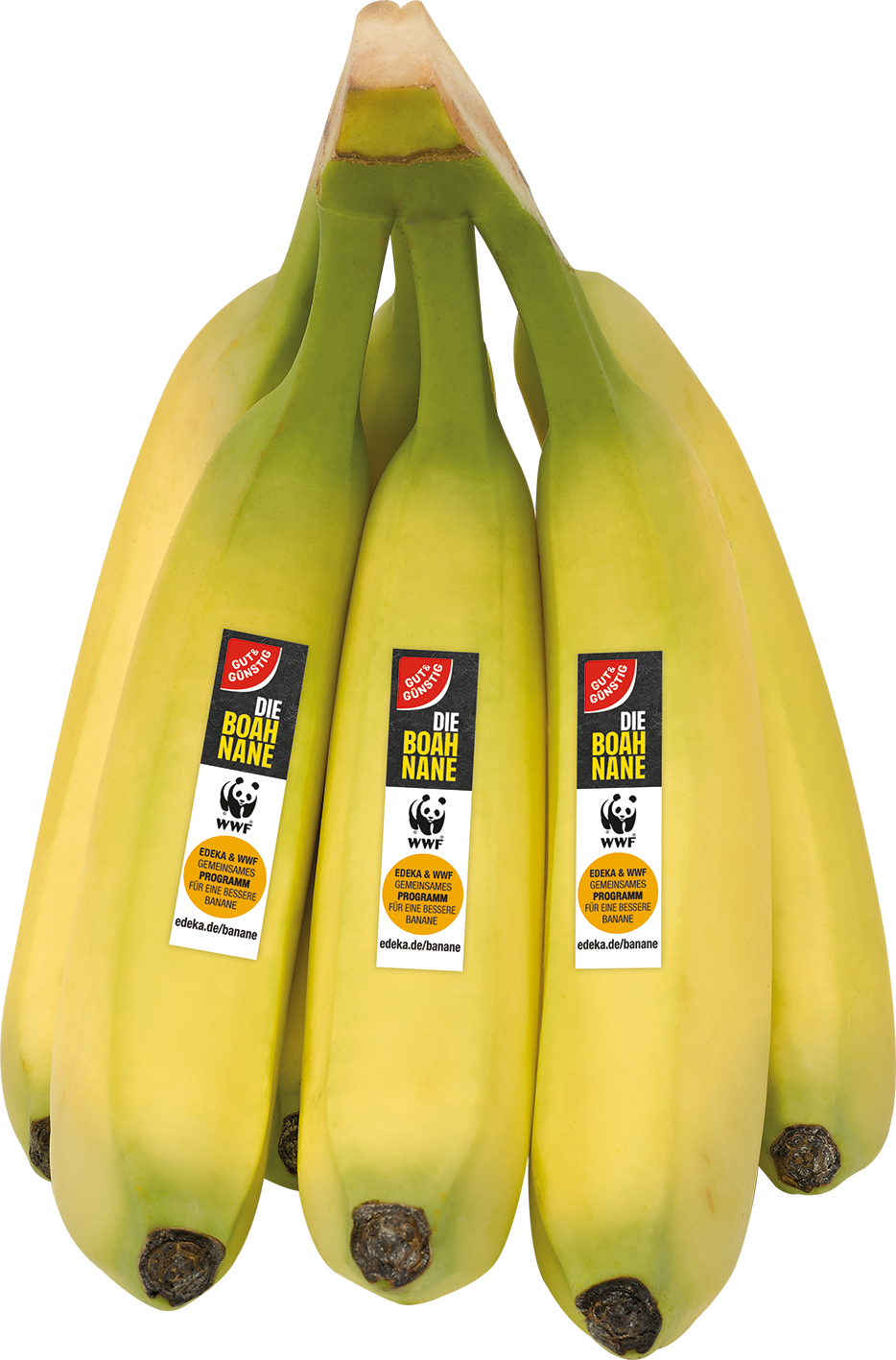 Costa Rica GUT&GÜNSTIG WWF-Bananen