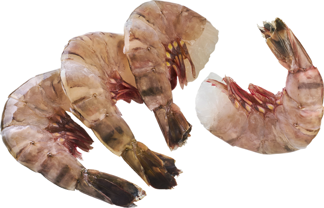 Ab Dienstag erhältlich: ²Seawater Black Tiger Gambas 