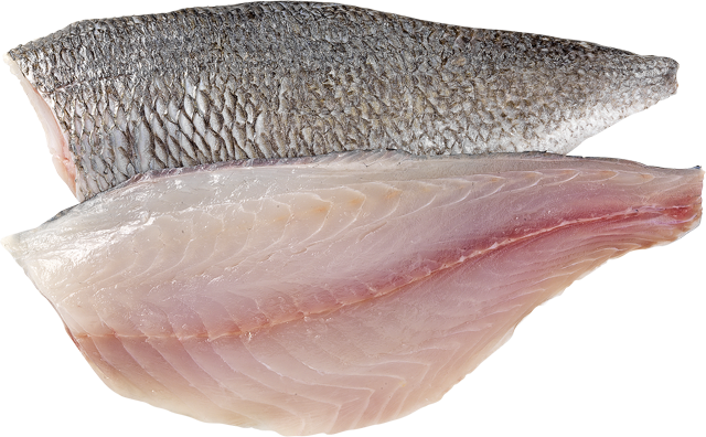 Frische Doradenfilets 