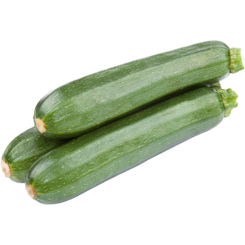 Spanien - Bio-Zucchini