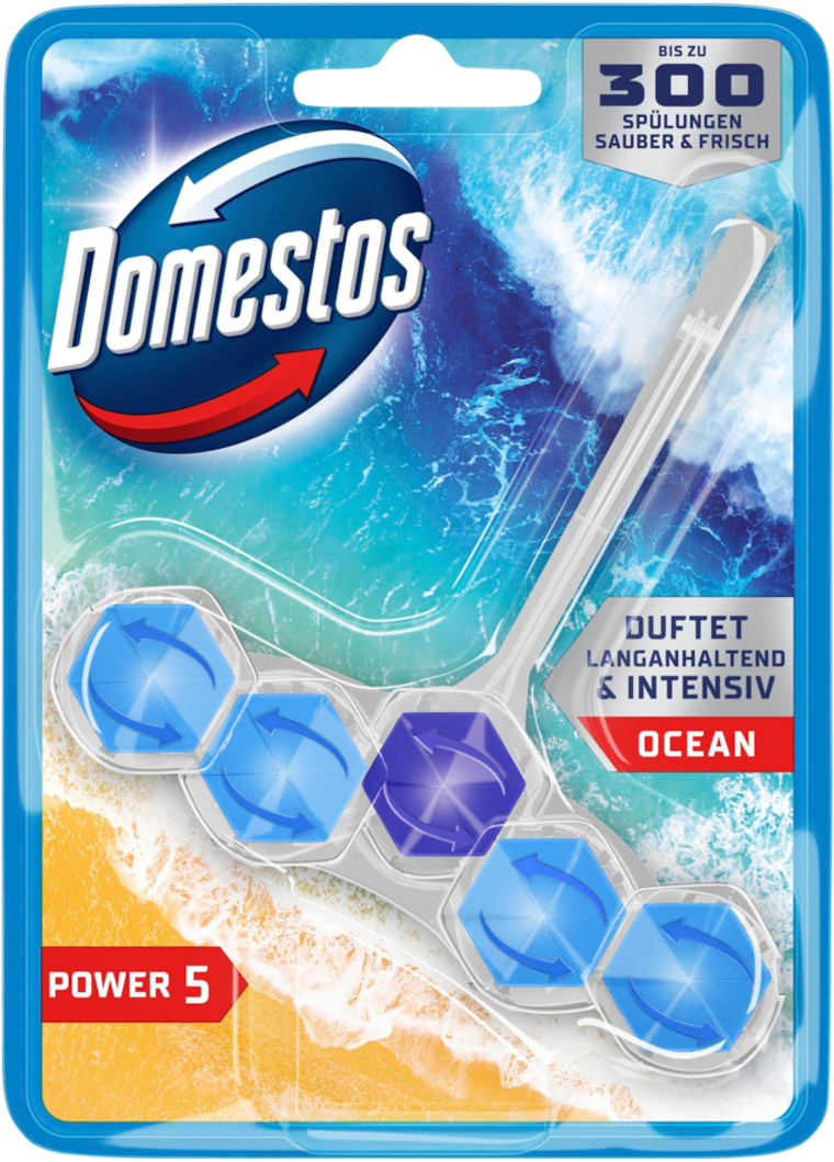 Domestos Power 5 WC-Stein
