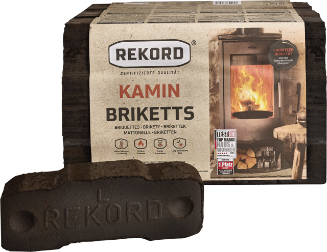 Rekord Folien-Kaminbriketts – 4 Packungen