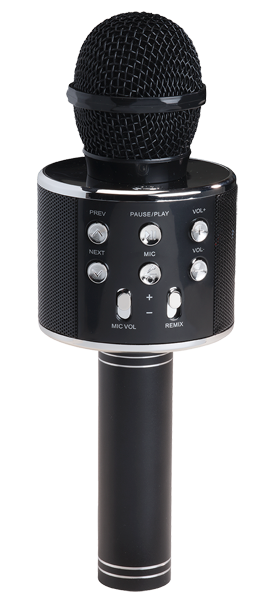 Denver Karaoke-Mikrofon