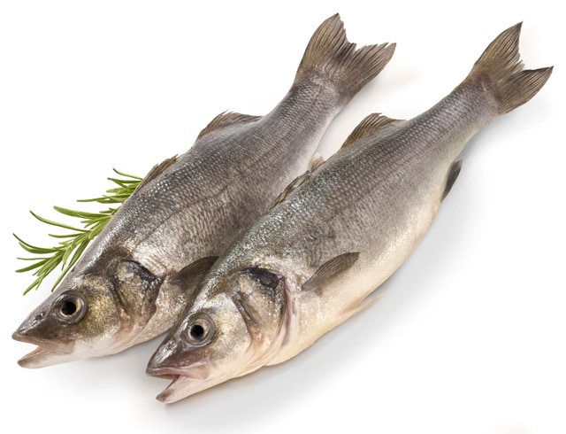 ²Wolfsbarsch (Loup de Mer)