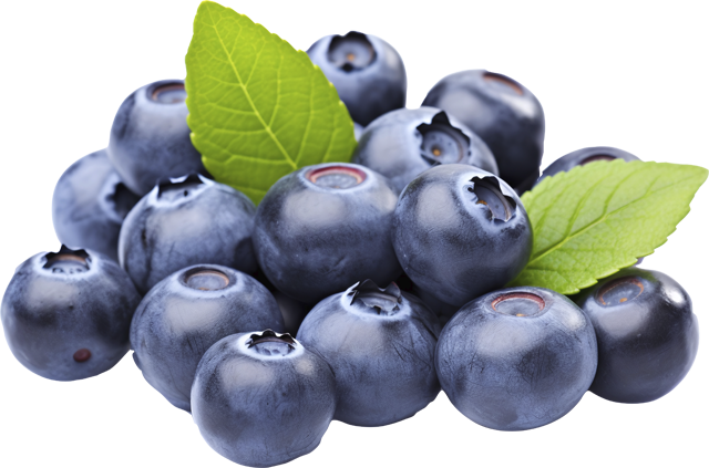 Donnerstag & Samstag: Heidelbeeren