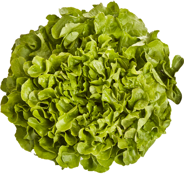 Unsere Heimat – echt & gut Kraussalat 