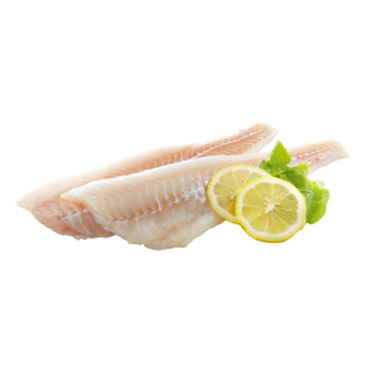 Kabeljaufilet Aquakultur