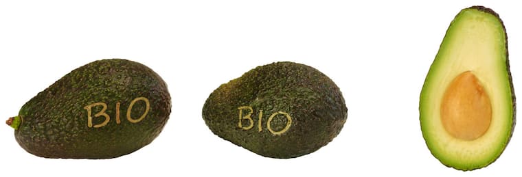Bio Avocado "Hass"