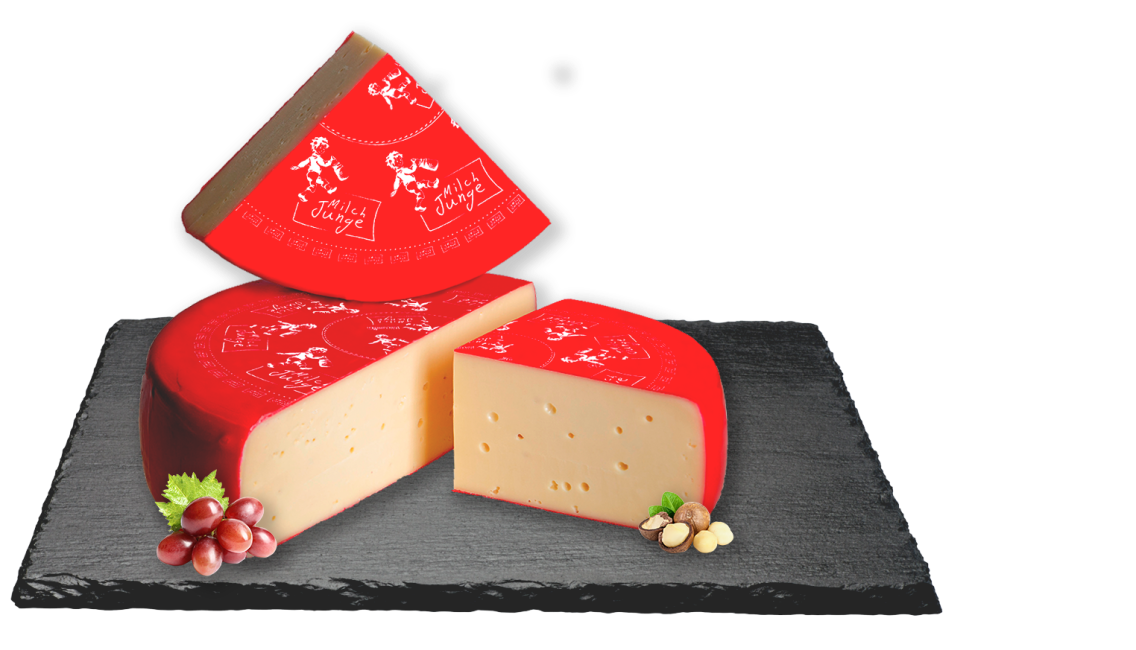 Milchjunge dänischer Schnittkäse