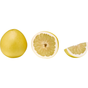 China - Outspan - Honigpomelos