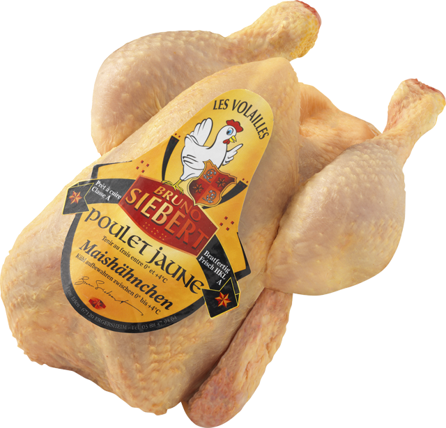 Frische französische Maishähnchen 