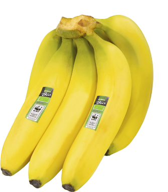 EDEKA Bio WWF Bananen